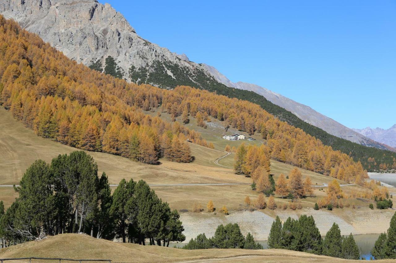 Casa Colturi Appartement Valdisotto Buitenkant foto